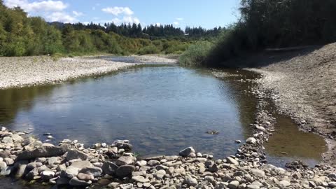 Camping in NorCal-Hindy Woods:I