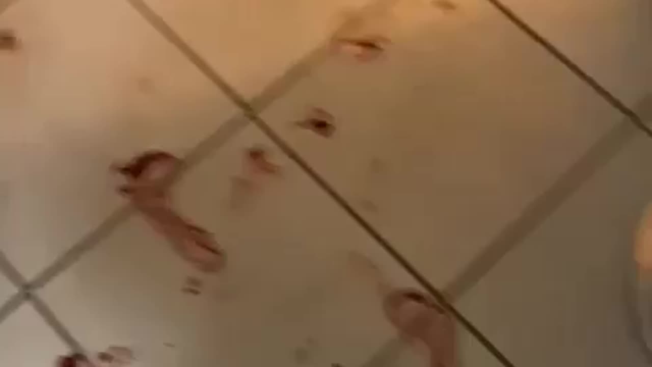 Alleged abuser walks free as GBV case withdrawn, exposing systemic failures