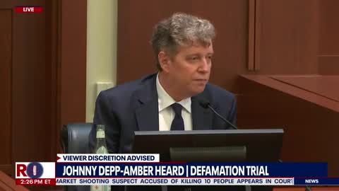 Johnny Depp lawyer challengegs Amber Heard expert on negative comments | LiveNOW from FOX