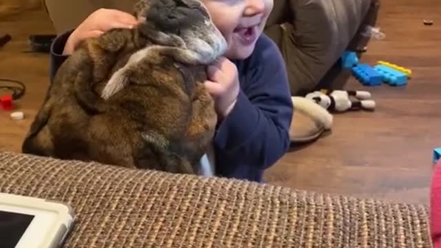 This baby and his dog very interesting