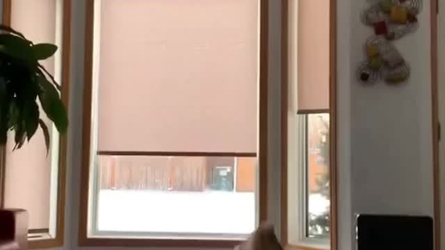 Look, it’s everybody’s favorite jam! 💥🤭