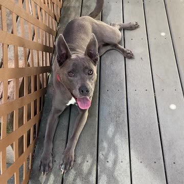 Precious girl relaxing