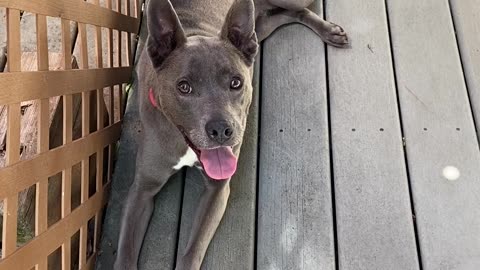 Precious girl relaxing