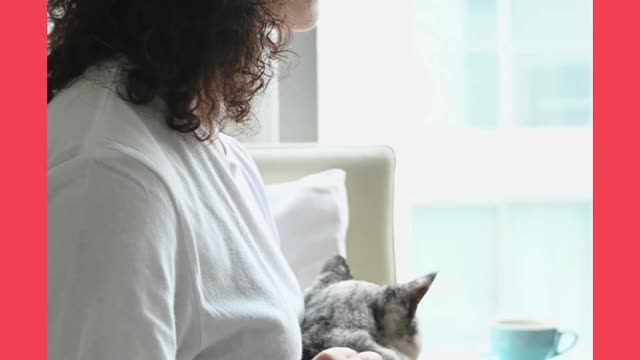 Woman Cuddling Her Cat#cat #cat990