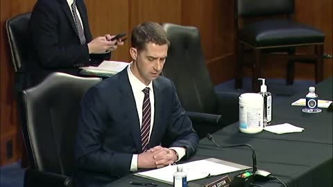 Tom Cotton To Top FBI Official: 'Did The DOJ Or FBI Have Any Plainclothes Officers' In Capitol On Jan 6?