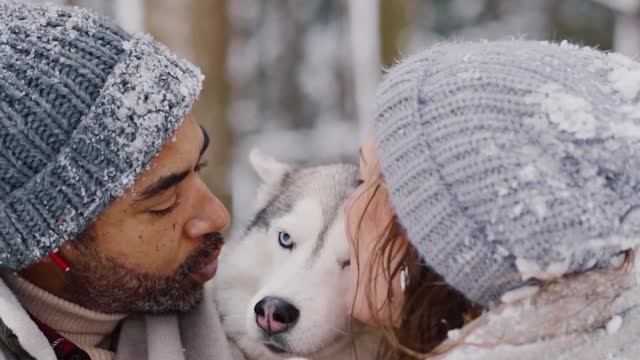 Dog fanny video