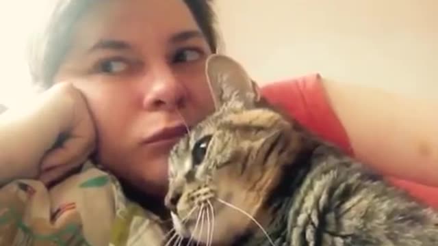 Cat tells owner to stop kissing by saying NO!