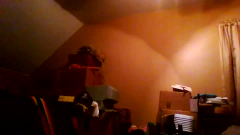 [Cyraxx Youtube 2021-1-27] Music session 2