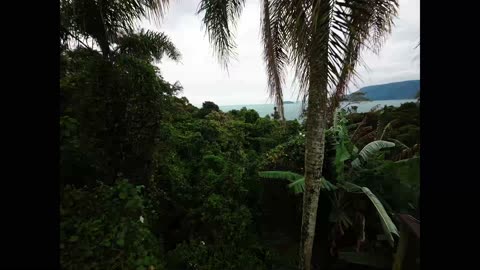 Montanhas de Ilhabela - SP