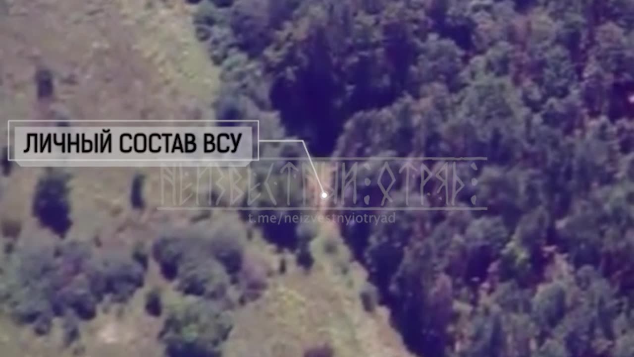 Harkov_region_15.08.2023