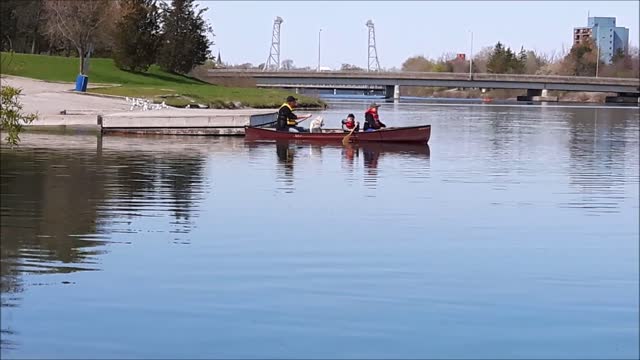 Old Welland canal Welland Ontario Canada May 09 2016