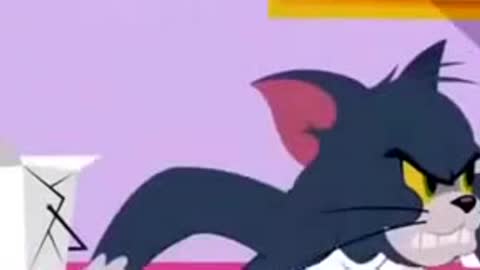 Tom and Jerry Funny Cartoon