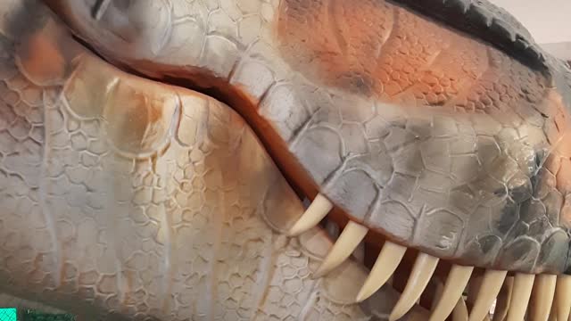 T REX Brasil