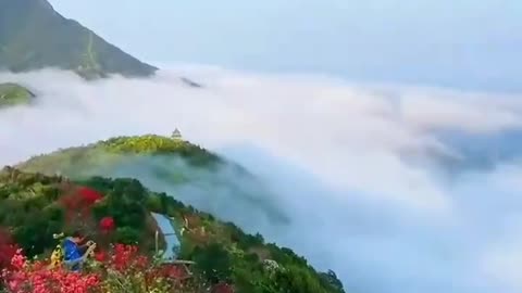 NATURE STATUS 2022