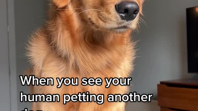 The Jealous real