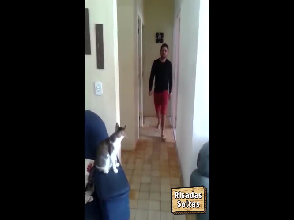 Homem mostra como o seu gato o cumprimenta com estilo