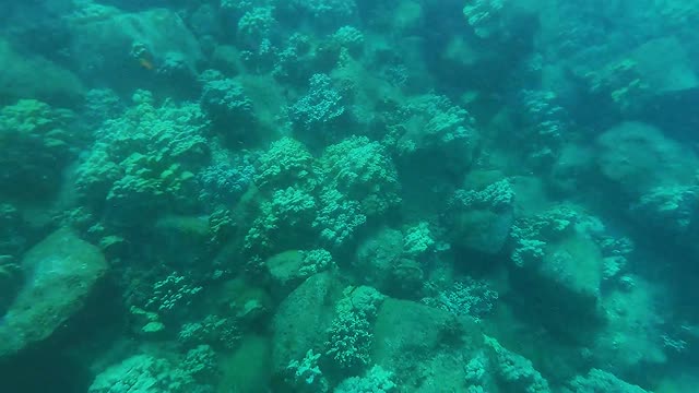 Snorkeling at Koloa Landing on Kauai Hawaii