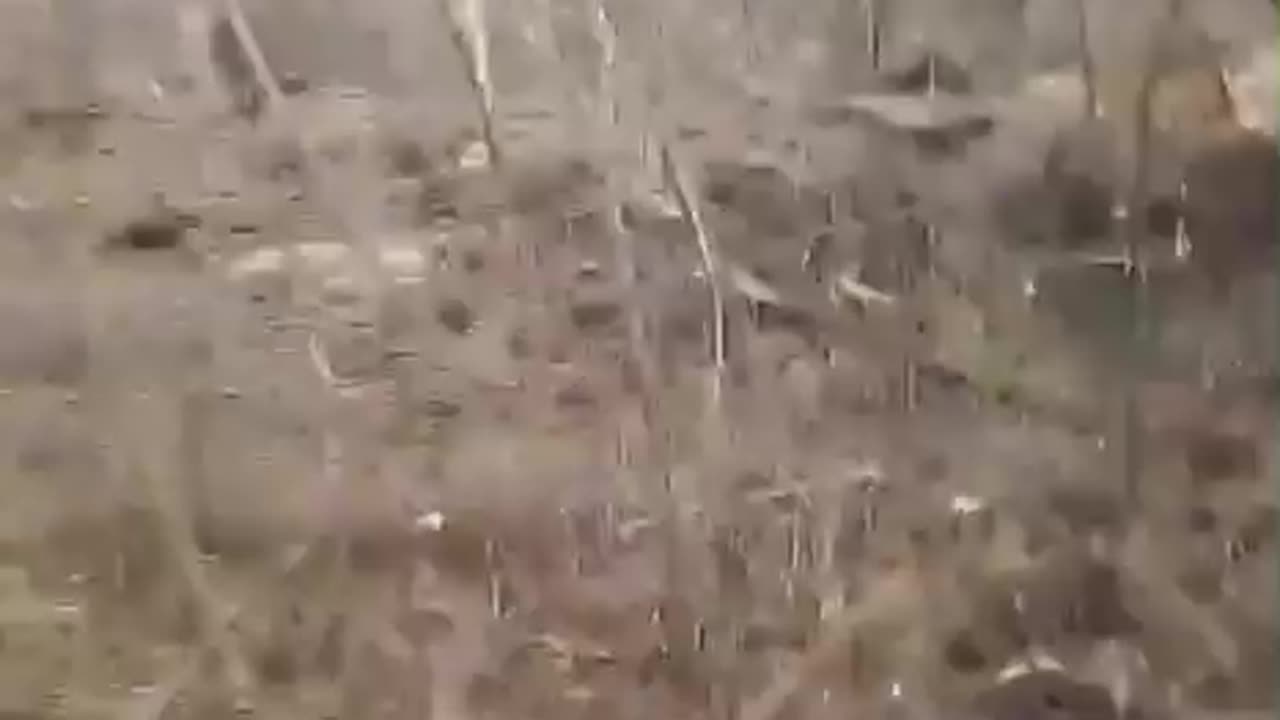 Видео с фронта