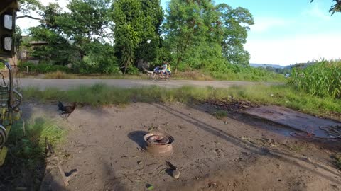 OUT WHERE OUR NEW FARM WILL BE