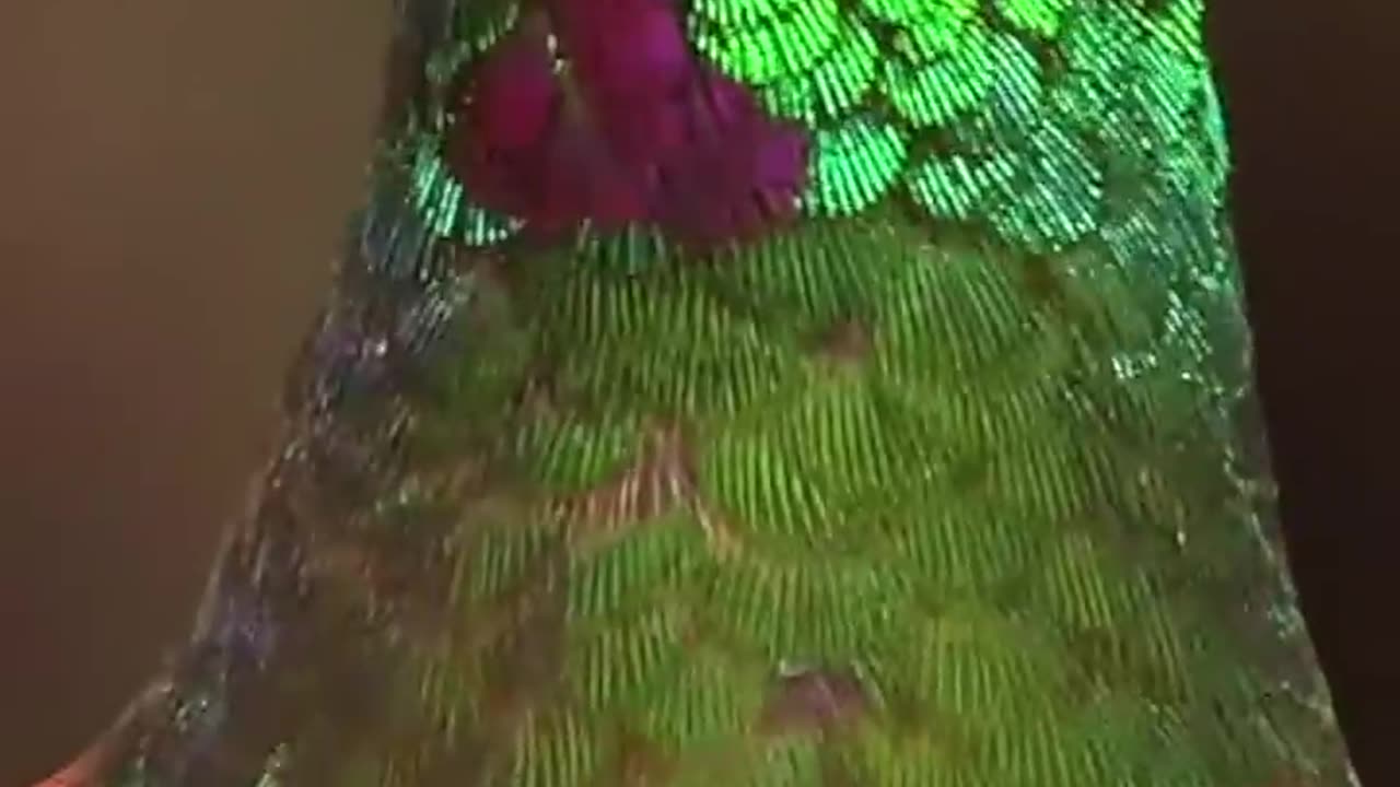 Beautiful nature that we can't believe exists around us - hummingbird lovely birds video