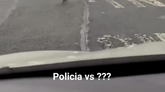 police x birds