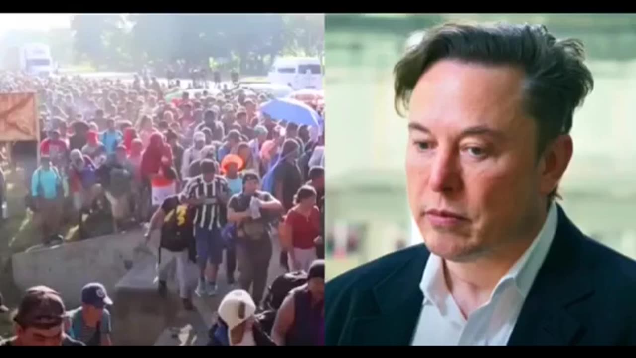 Elon Musk Exposes Democrats Over Illegal Immigration