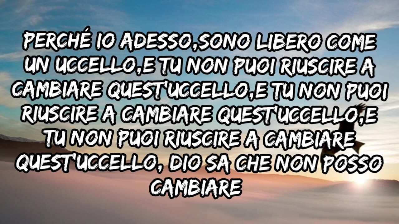 " Freebird"-Linyrd Skinyrd(1973)-traduzione in italiano