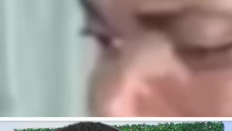 Try not to laugh 🤫 part-4 #funnyvideo 🤣🤣🤣