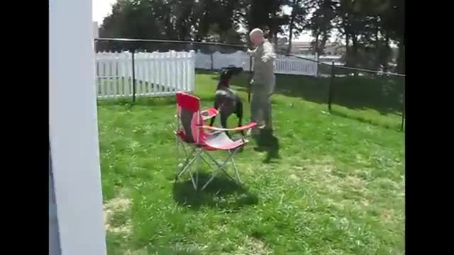 Animal reunited with owner after many years. So heart touching 🥰