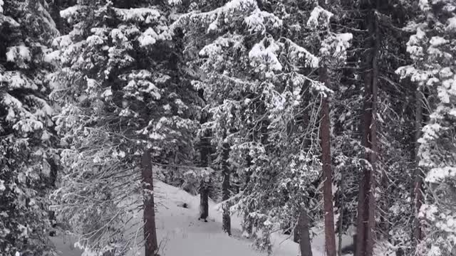 Man Melds Skiing and Babysitting