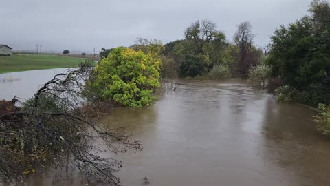 Sonoma Creek At Schellville 11/21/2024