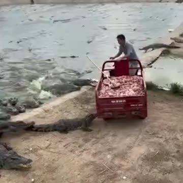 Crocodile Dundee Part 4