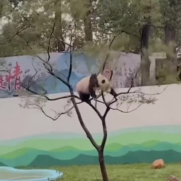 Lesson learned 🤣🤣🤣