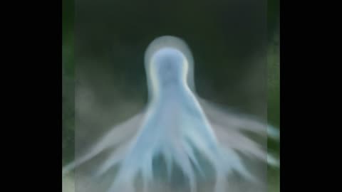 "The Misty Ghost: A Chilling Tale of the Lost Spirit" #Halloween #GhostStory #creepypasta