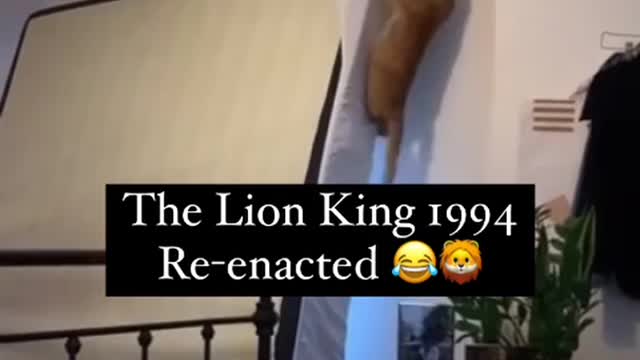 Lion King re-enacted