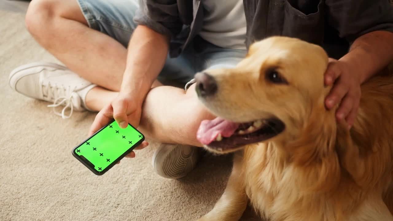 Young man in glasses petting golden retriever in living room Guy using smartphone for online