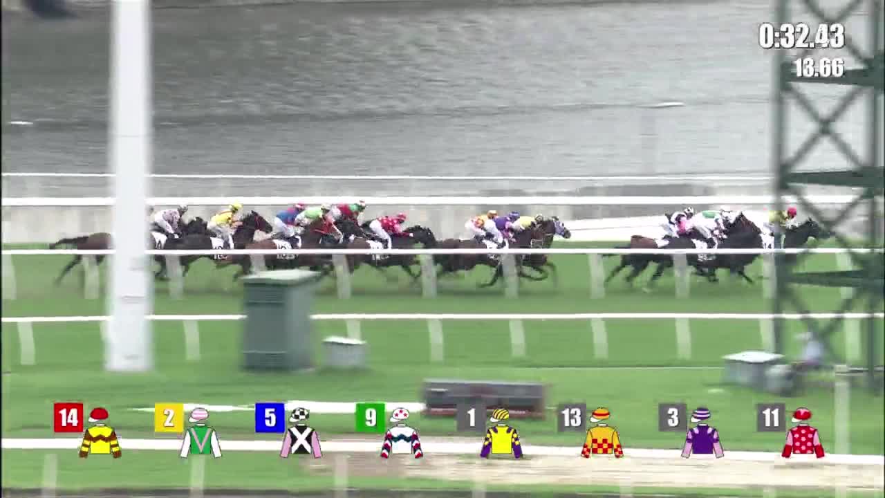 Horse_Race_2022061205_English