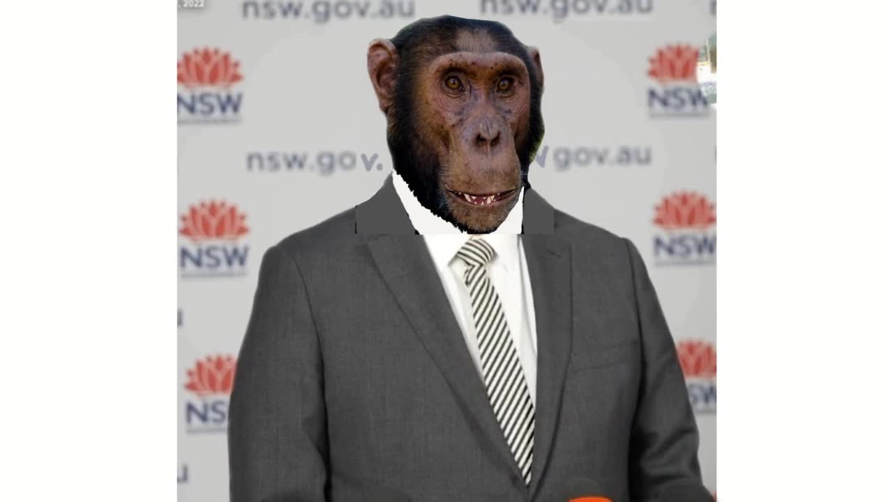 Monkey Minister