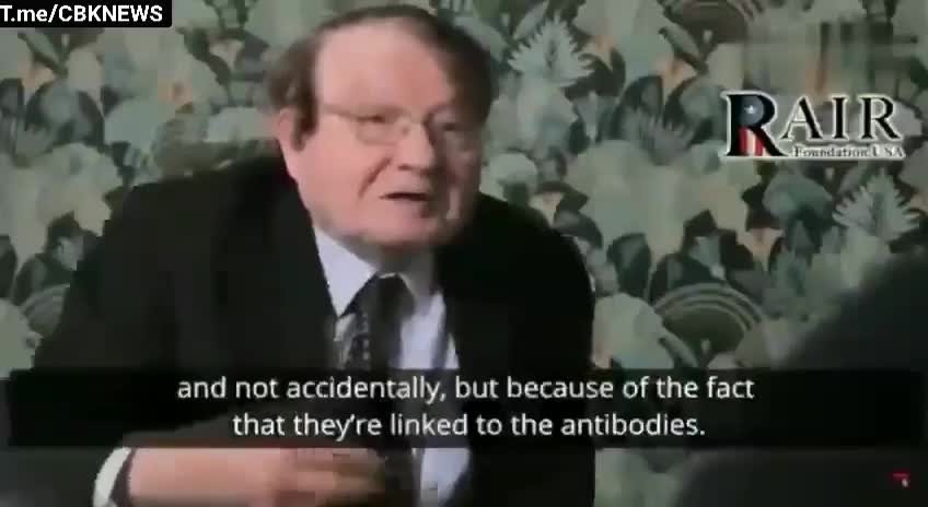 Luc Montagnier antibody depentdent enhancement