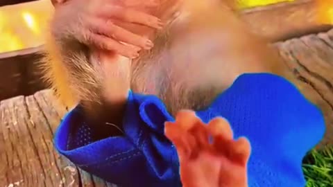 #Useful#Beautiful#Funny #Funny video#laugh# interesting#video#short video#short#short cut