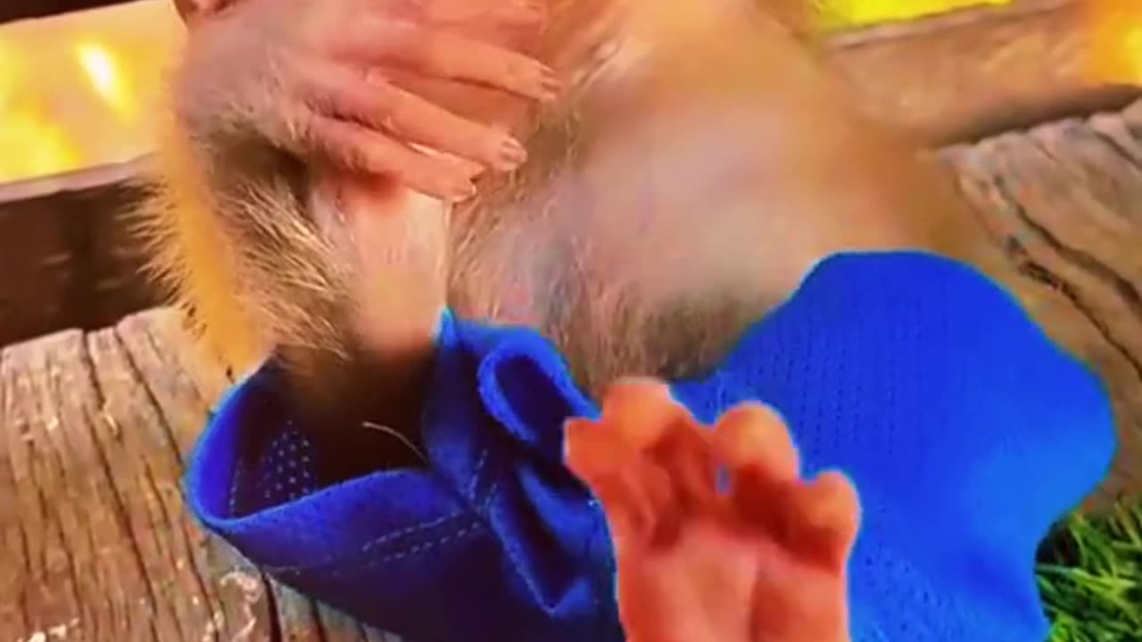 #Useful#Beautiful#Funny #Funny video#laugh# interesting#video#short video#short#short cut