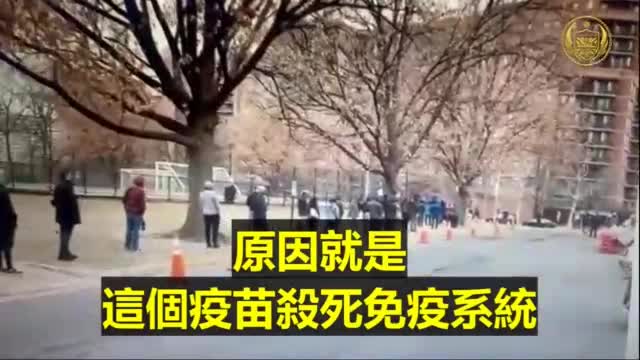 哥倫比亞大學發布了一項研究,說所有因"新冠疫苗"死亡人數必須乘以20倍
