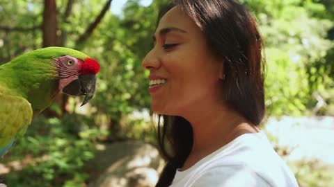 A Parrot getting its food from a woman's mouth