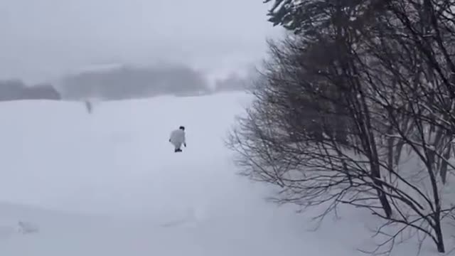 skiing is very fun