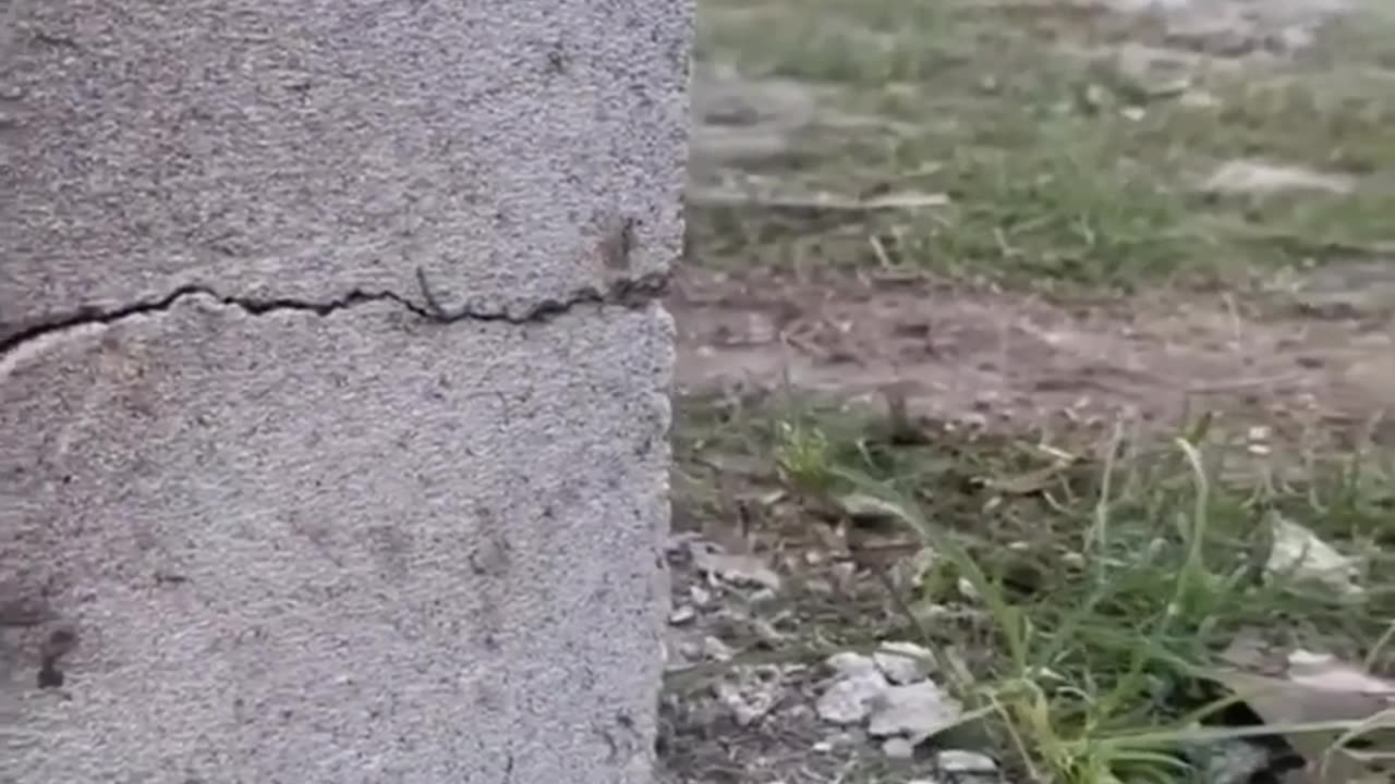 so funny challenge!