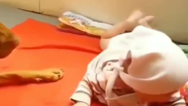 Funny Baby And Dogs Playing Together Cute Baby