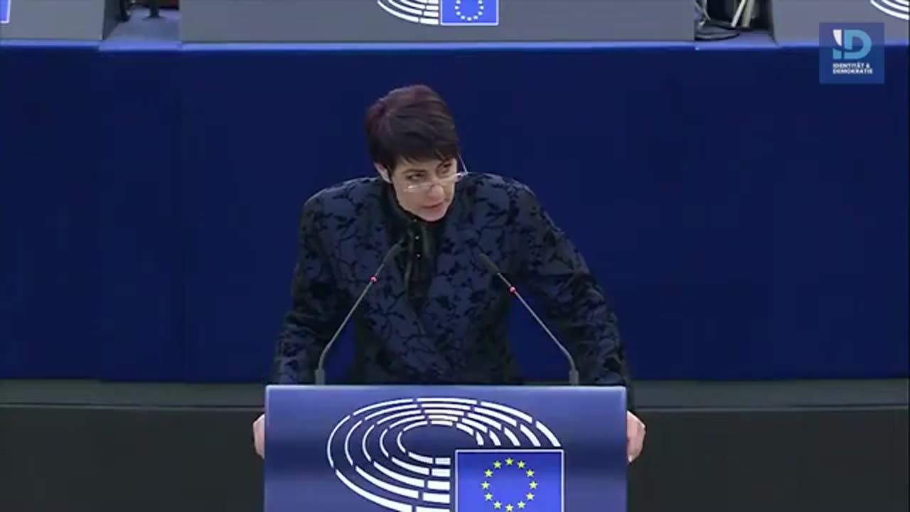 𝐂𝐡𝐫𝐢𝐬𝐭𝐢𝐧𝐞 𝐀𝐧𝐝𝐞𝐫𝐬𝐨𝐧 MdEP▶️ HIER sitzen die Desinformanten