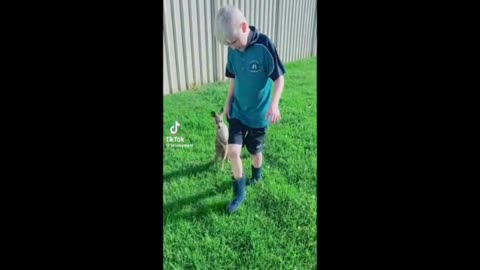 Boy With Kangaroo