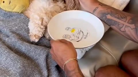 Cute puppy sick 🤢😍🐕🐶😂