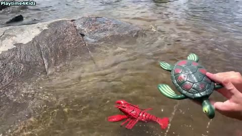 Sea Animals Toys at the Shore
